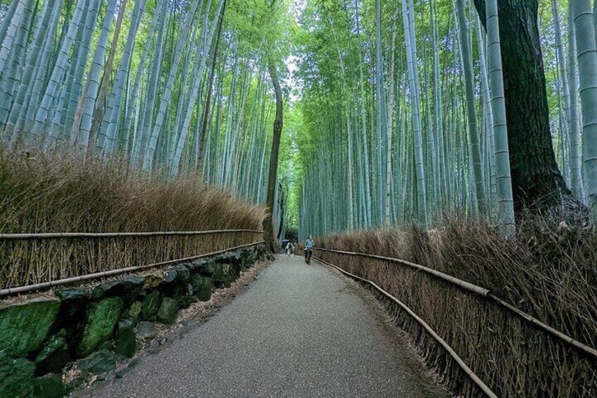 Full Day Kyoto Private Customizable Tour