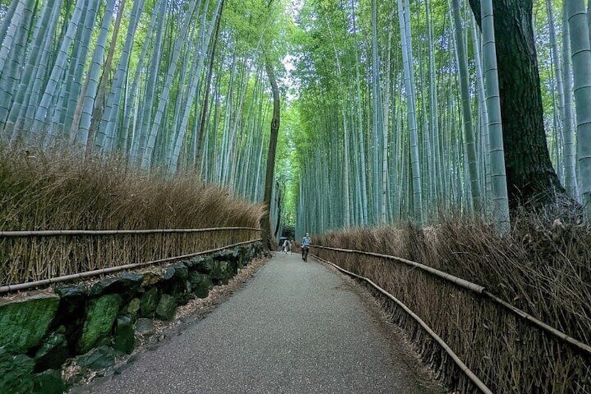 Full Day Kyoto Private Customizable Tour