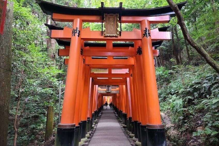 Full Day Kyoto Private Customizable Tour