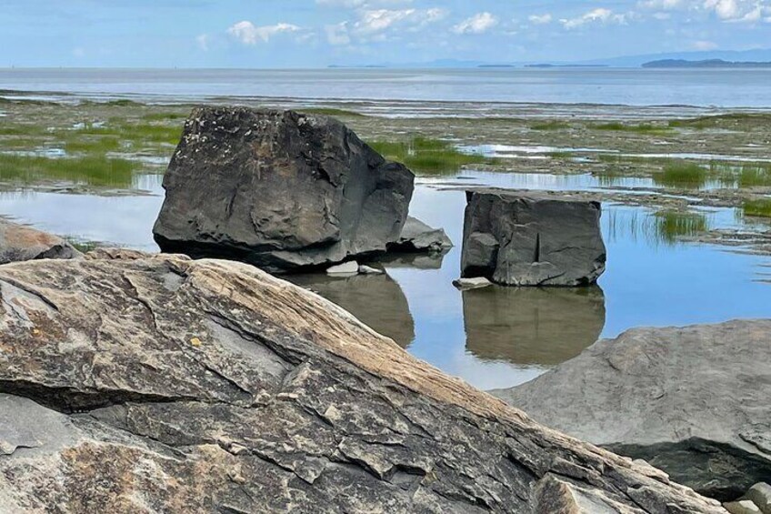 The beginning of the maritime estuary
