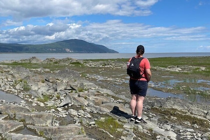 Panoramic and historical tour of the Île d'Orléans