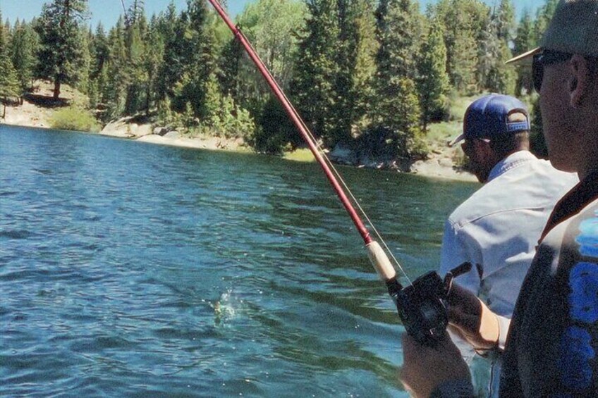 Guided Jumbo Perch Fishing Trip on Lake Cascade