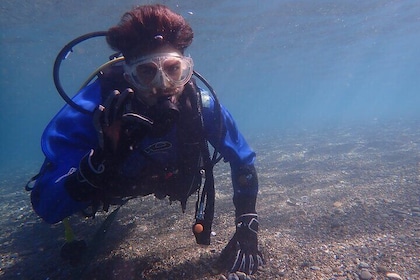 Shared Scuba Diving Trip in Kushimoto