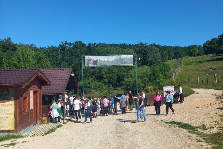 Bear Sanctuary day trip from Brasov Private tour