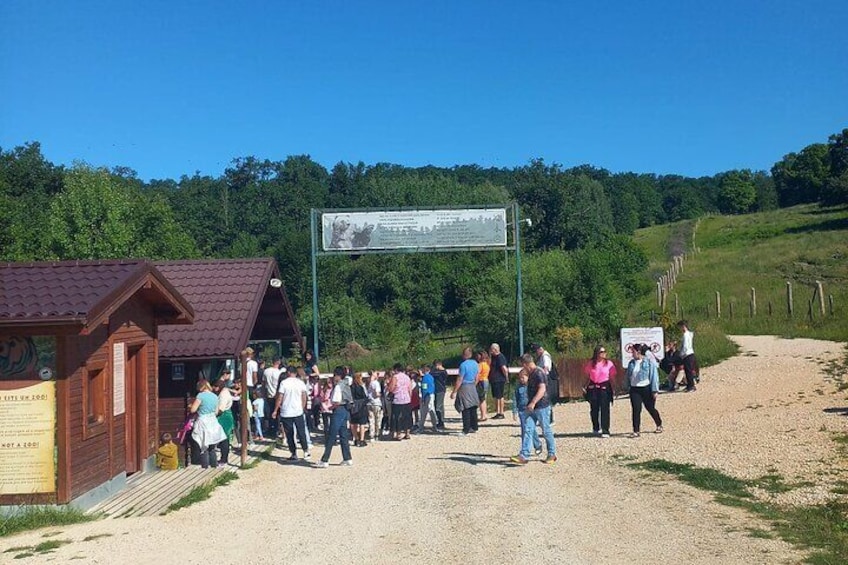 Bear Sanctuary day trip from Brasov Private tour