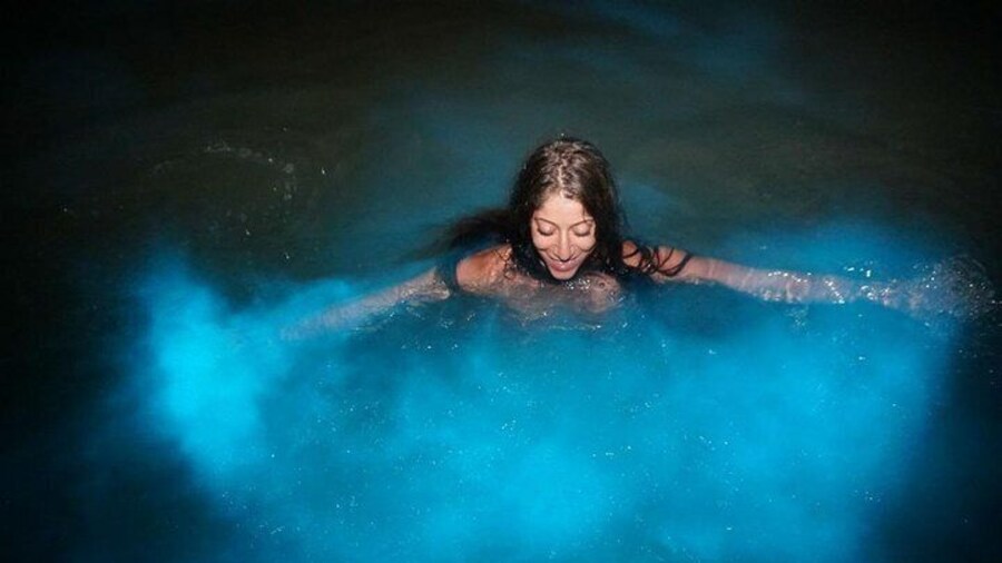 Luminous Lagoon on a Beautiful Night.