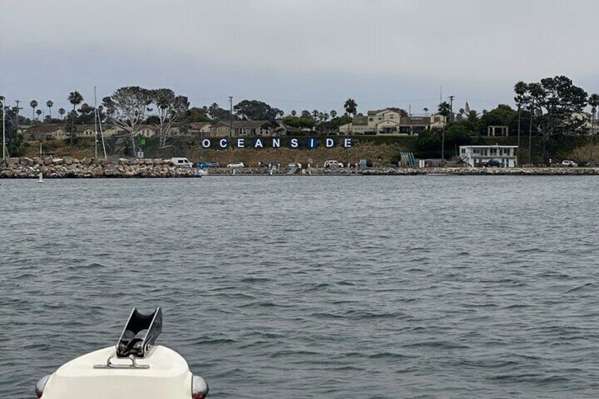 “The best whale watching experience! Our fast and safe boat lets us cover more ocean, giving you the best chance to see whales up close. Small groups, big adventures!”