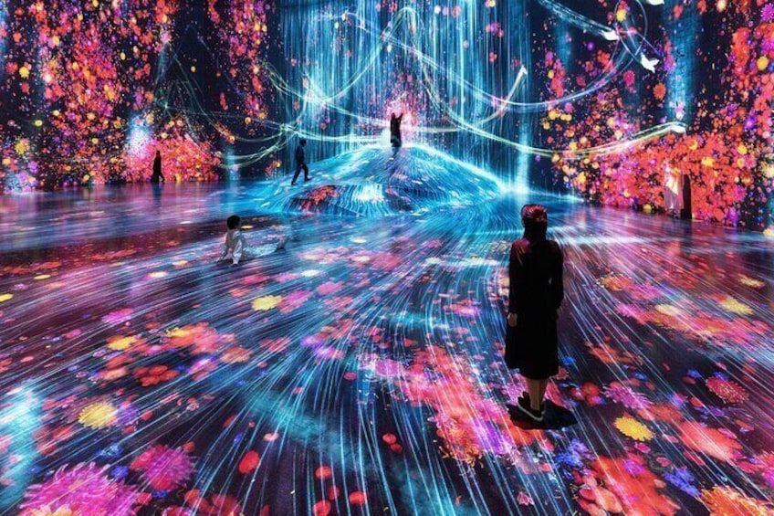 teamLab Phenomena Ticket