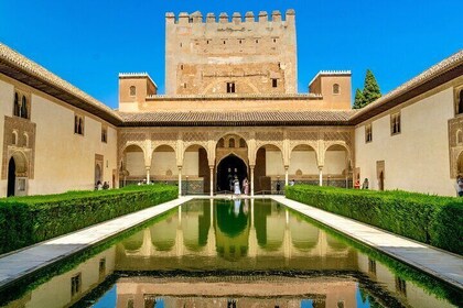 Alhambra and Nasrid Palaces Early Bird with Tickets & Local Guide
