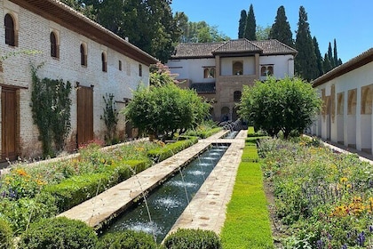 Alhambra and Nasrid Palaces Early Bird with Tickets & Local Guide
