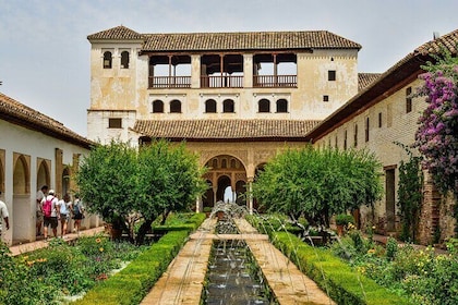 Alhambra and Nasrid Palaces Early Bird with Tickets & Local Guide