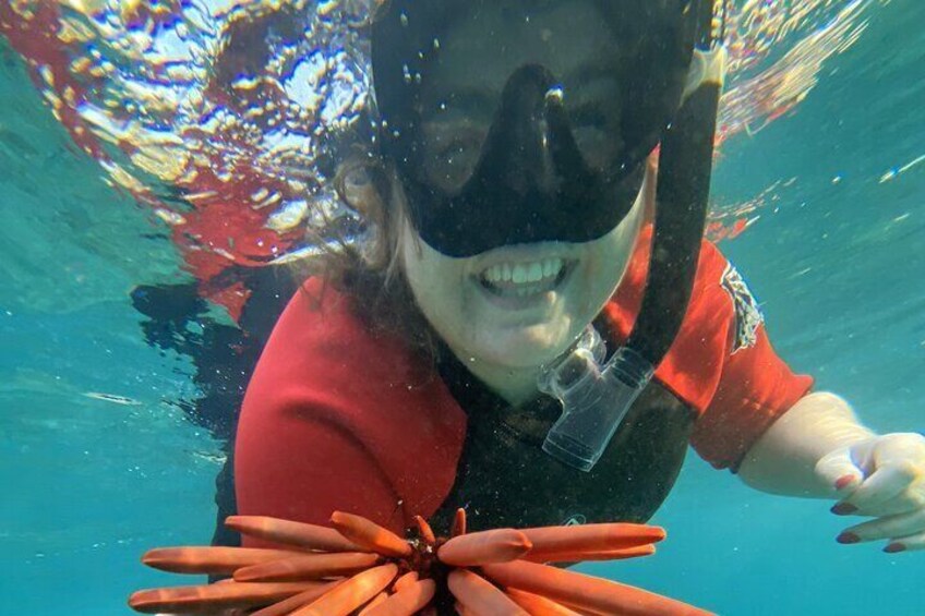 Snorkel Adventures
