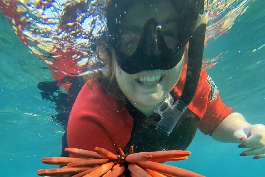 Snorkel Adventures