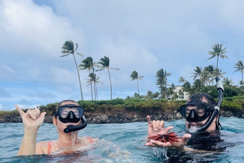 Lahaina Reef Snorkeling Adventure in Maui