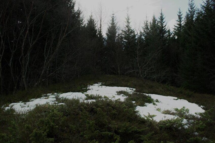 Private Mini Hike Leknes Archipelago 