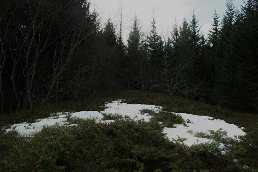 Private Mini Hike Leknes Archipelago