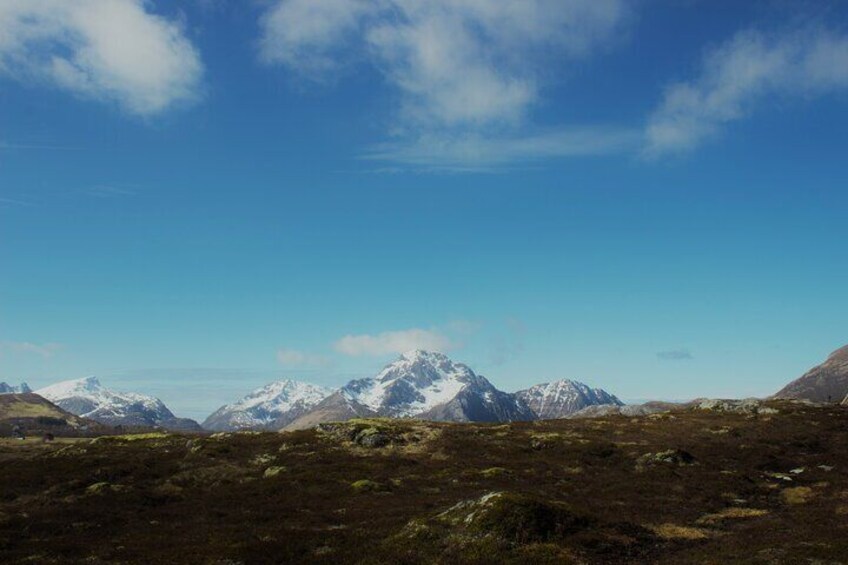 Private Mini Hike Leknes Archipelago 