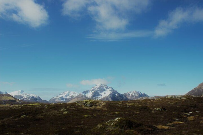 Private Mini Hike Leknes Archipelago