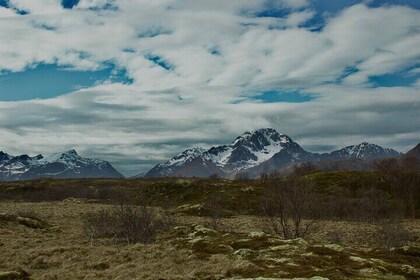 Private Mini Hike Leknes Archipelago