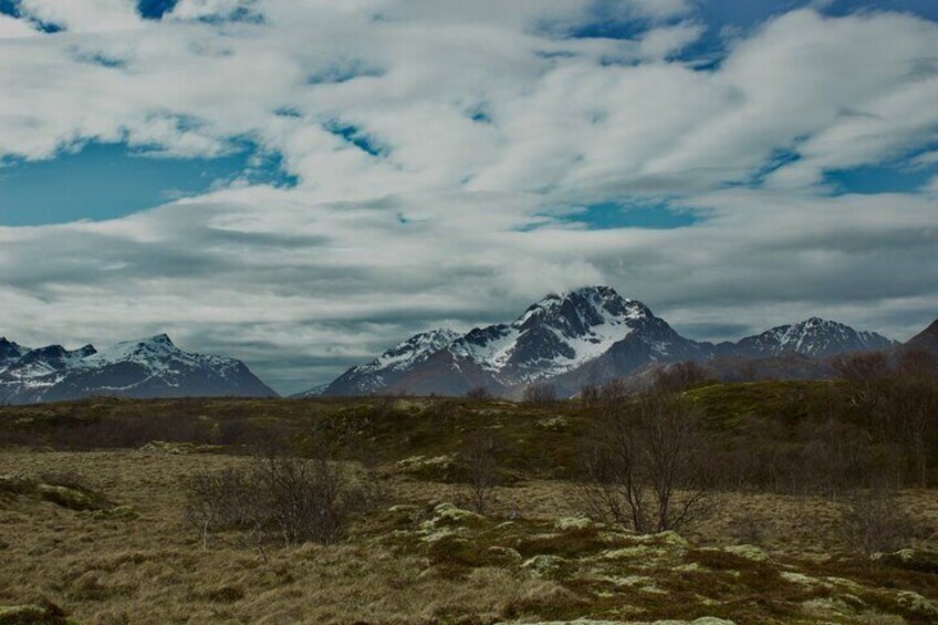 Private Mini Hike Leknes Archipelago 