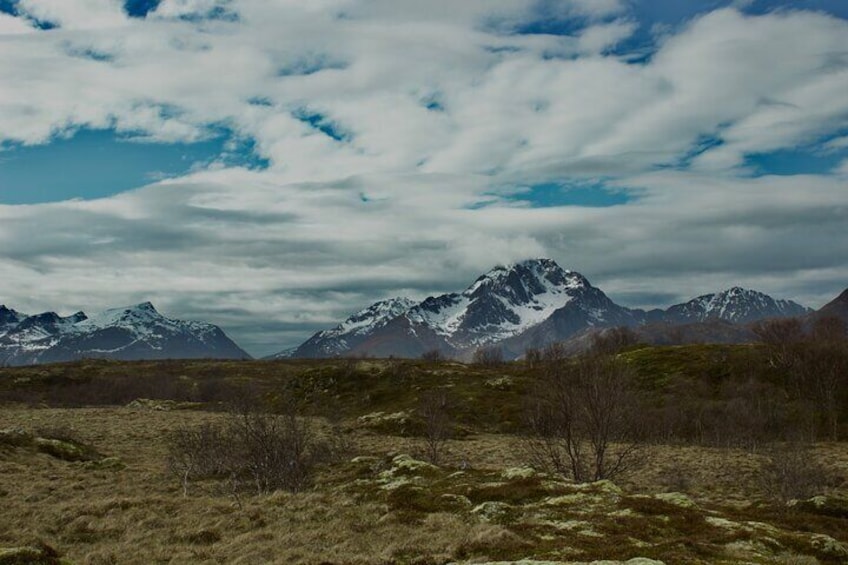 Private Mini Hike Leknes Archipelago