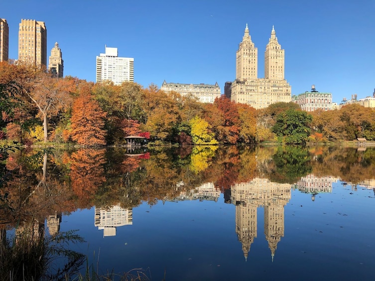 Central Park: A Green Oasis In the Heart of New York and its Secrets