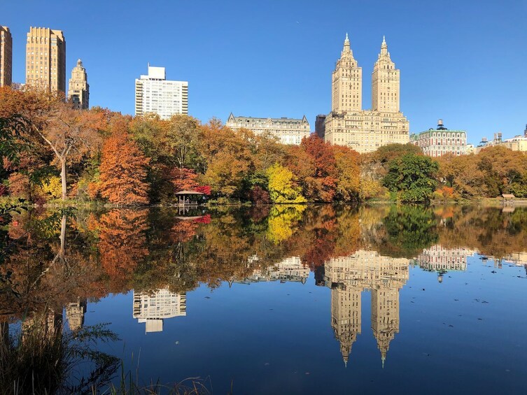 Central Park: A Green Oasis In the Heart of New York and its Secrets