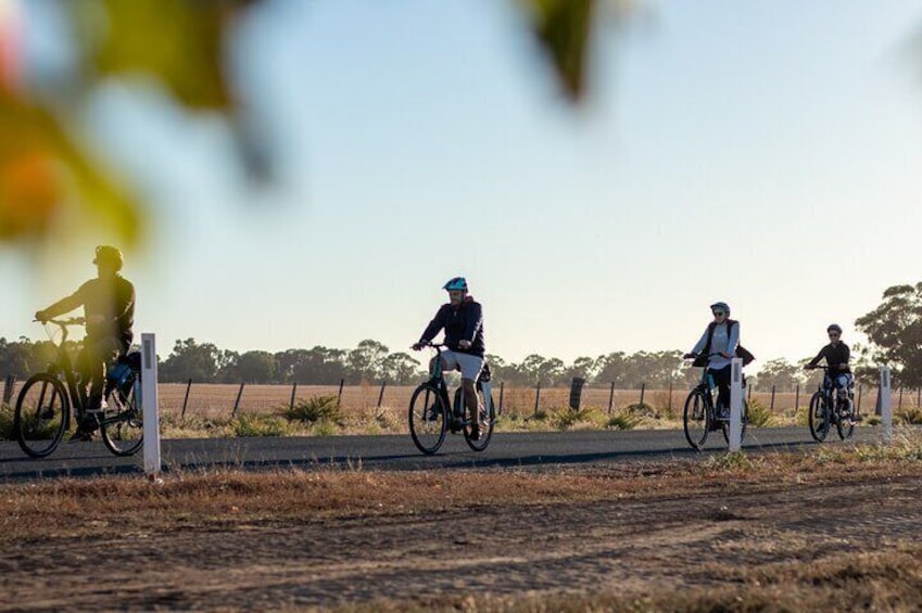 Cycling to St. Anne's Winery