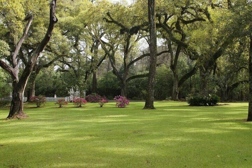 Myrtles Plantation Daytime Historical Tour