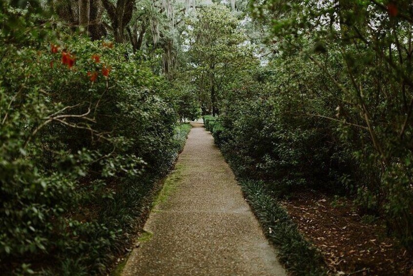 Myrtles Plantation Daytime Historical Tour
