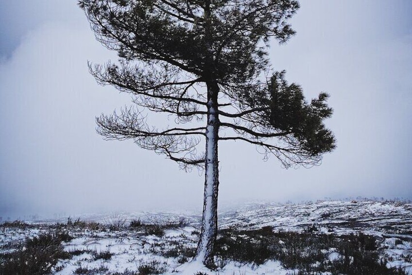 4x4 tour in the Serra da Estrela