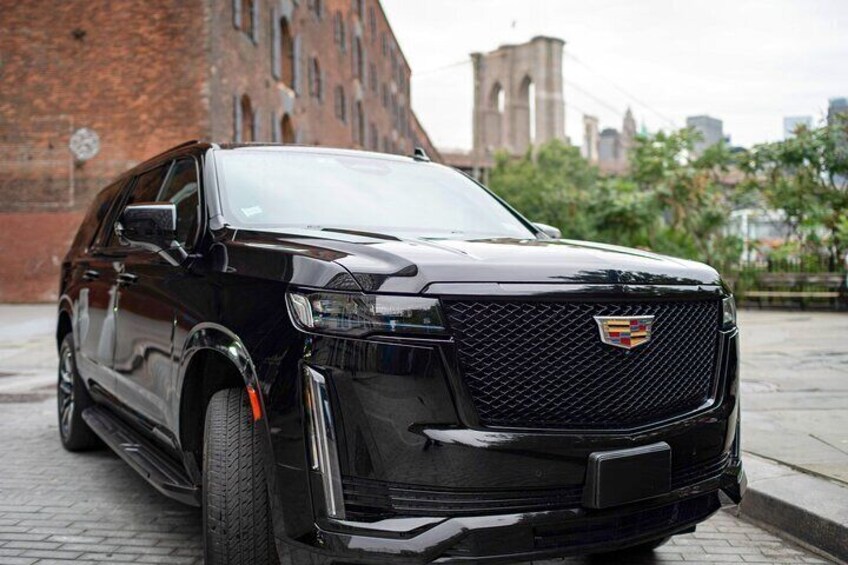 Private NYC Highlights Tour Times Square Central Park and More