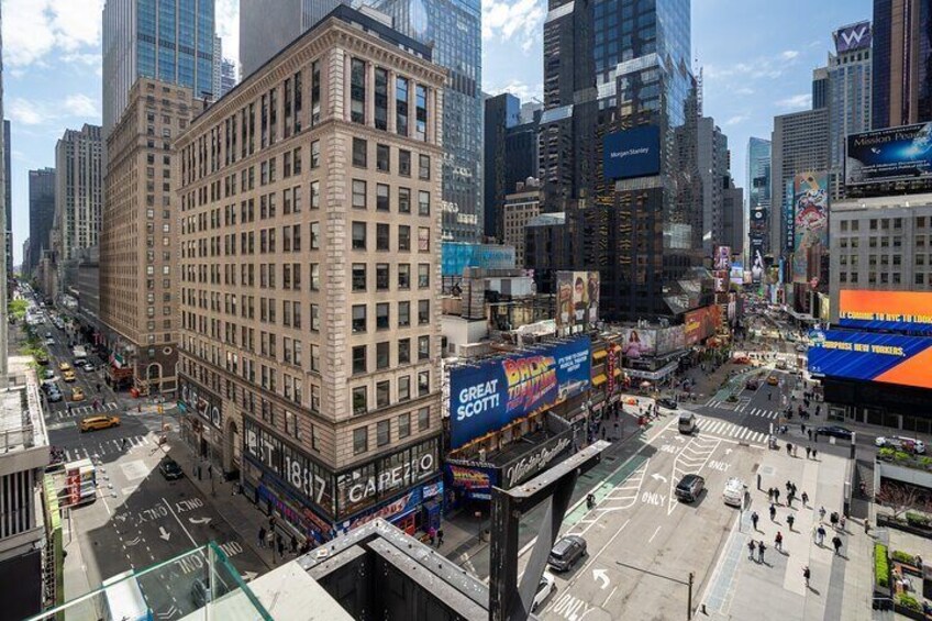 Private NYC Highlights Tour Times Square Central Park and More
