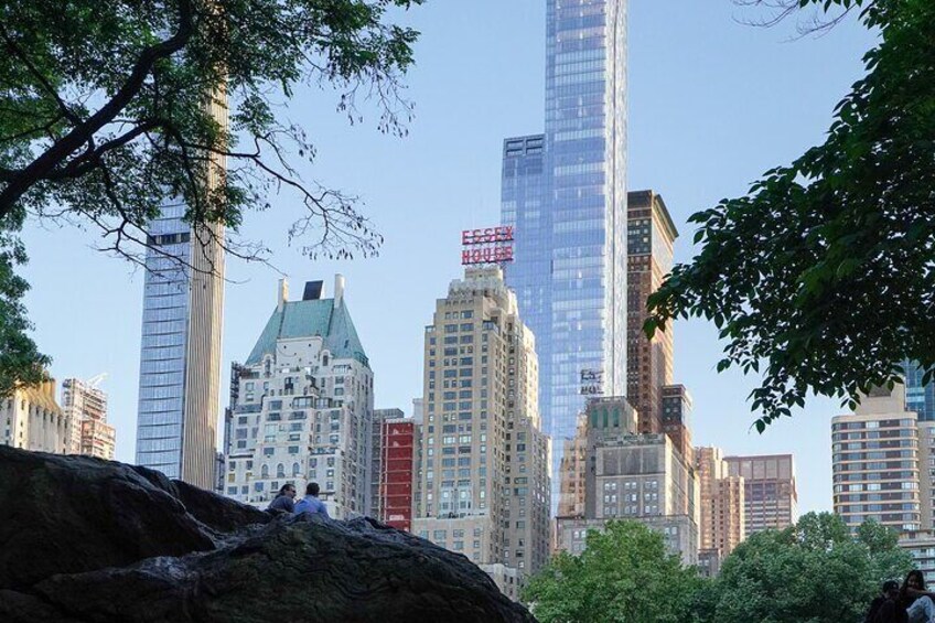 Private NYC Highlights Tour Times Square Central Park and More