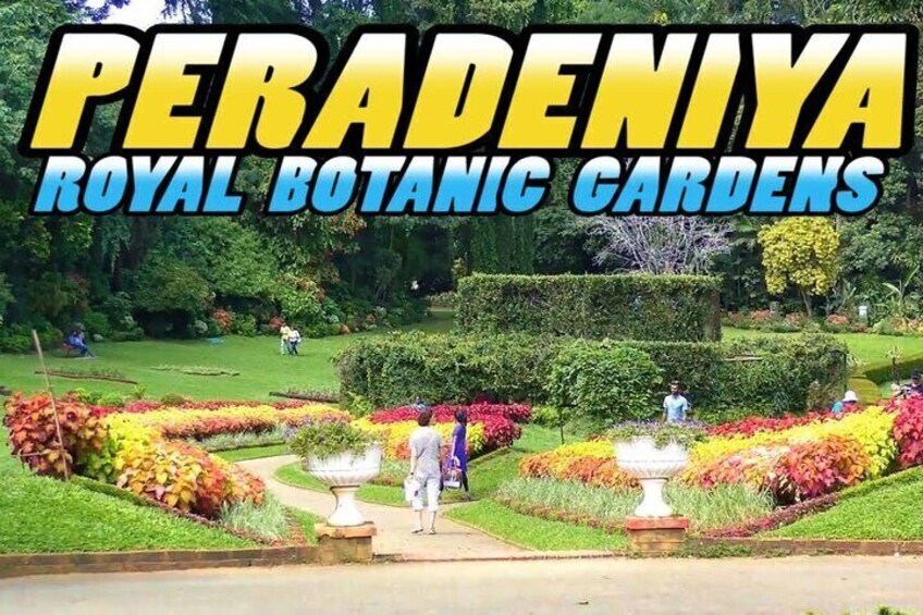 Royal Botanical Garden
