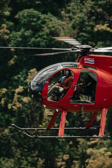 50 Minute Doors-Off Kauai Helicopter Tour