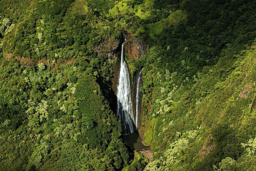 50 Minute Doors-Off Kauai Helicopter Tour