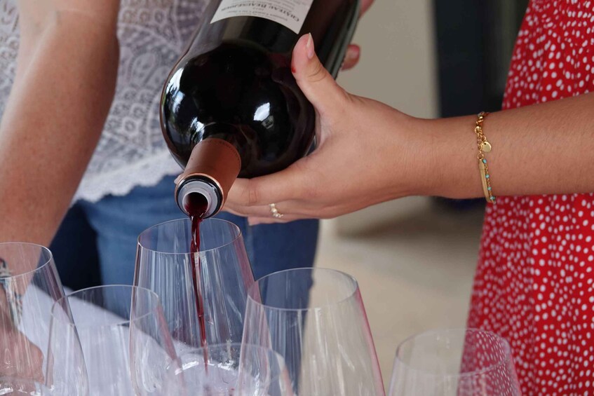 Picture 5 for Activity St. Emilion: Half Day E-Bike & Wine Tour with Wine & Cheese