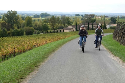 St. Emilion: Half Day E-Bike & Wine Tour with Wine & Cheese