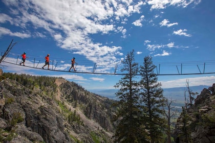 Jackson Hole Mountain Resort Via Ferrata Guided Climb