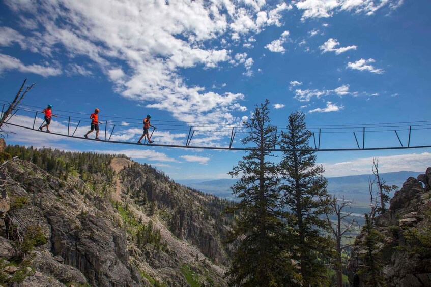 Jackson Hole Mountain Resort Via Ferrata Guided Climb