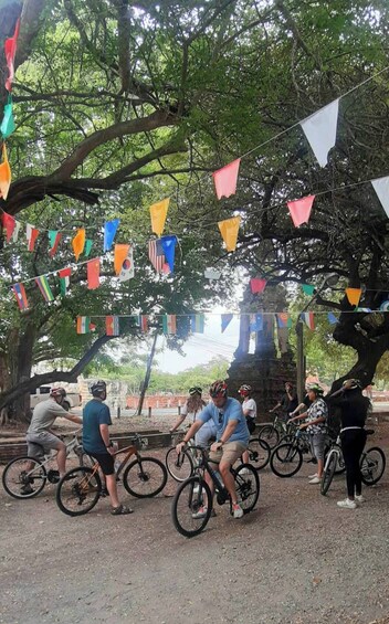 Picture 11 for Activity Ayutthaya: Colorful of Ayutthaya bicycle tour