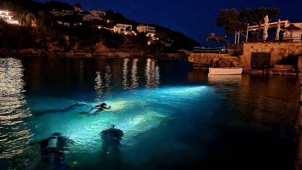 Picture 1 for Activity Mallorca Scuba Diving for Beginners