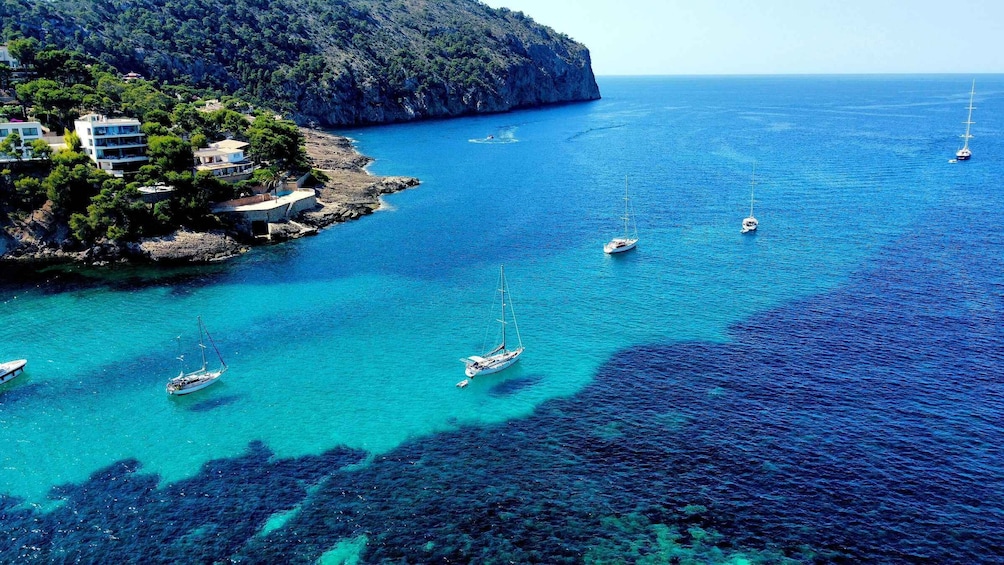 Picture 4 for Activity Mallorca Scuba Diving for Beginners