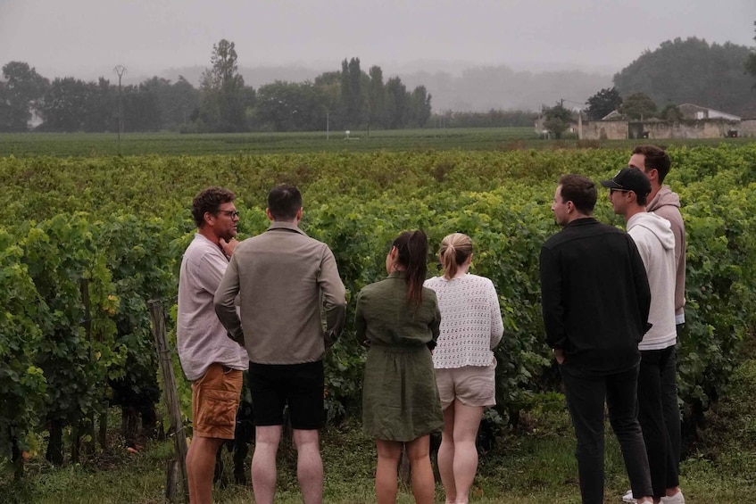 Picture 3 for Activity Bordeaux: St. Emilion Wine and E-Bike Tour with Lunch