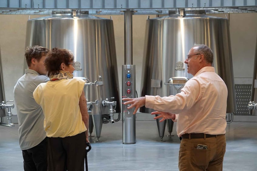 Picture 7 for Activity Bordeaux: St. Emilion Wine and E-Bike Tour with Lunch
