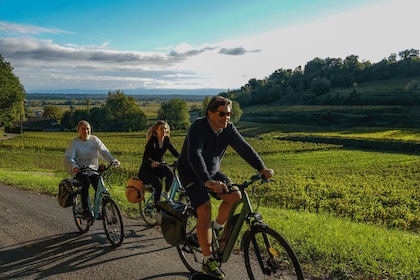 Bordeaux: St. Emilion Wine and E-Bike Tour with Lunch