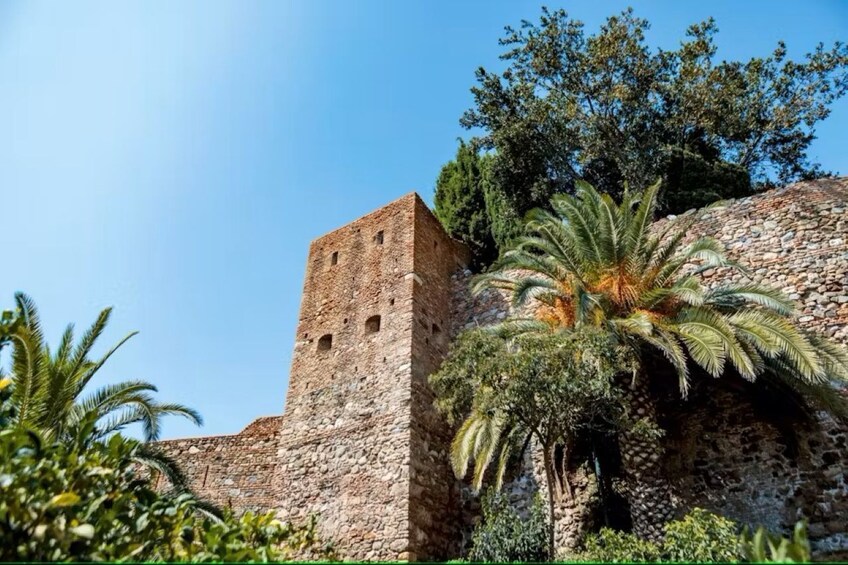 Malaga walking tour with Gibralfaro Castle and Alcazaba visits