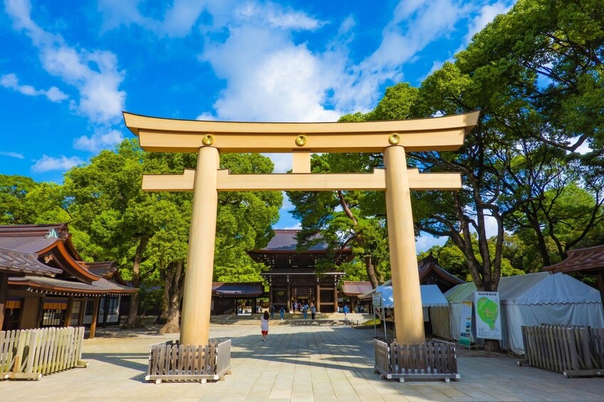 From Tokyo: Kawagoe & Strawberry Picking 1-Day Bus Tour