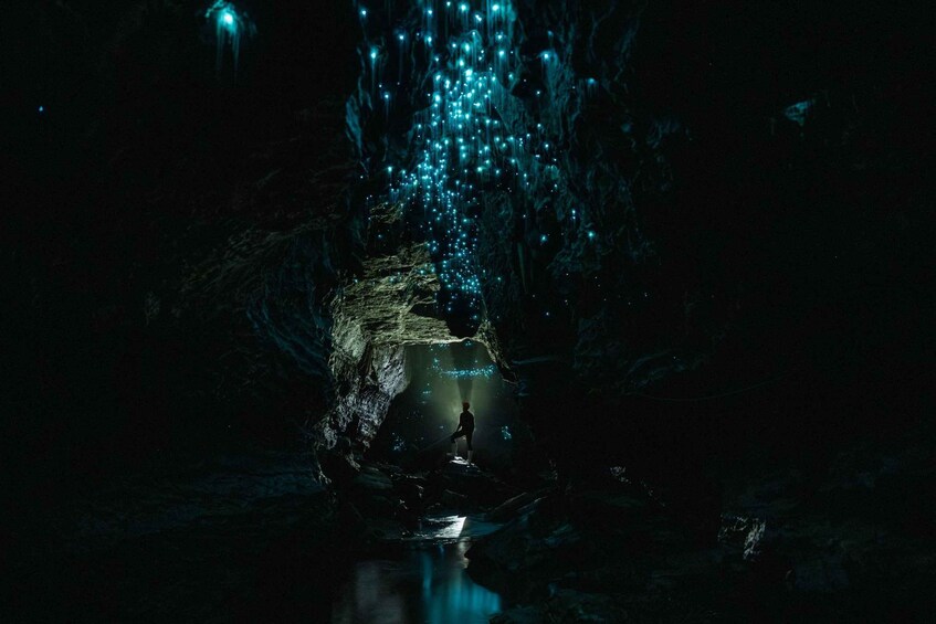 Picture 1 for Activity The Waitomo Experience : Okahua Glowworm Cave Tour